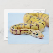 Python 2 postkarte (Vorne/Hinten)
