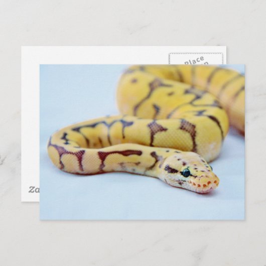 Python 2 postkarte (Vorne/Hinten)