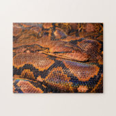 Python Boa Puzzle (Horizontal)
