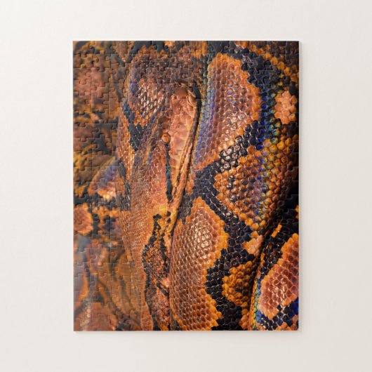 Python Boa Puzzle (Vertikal)