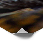 Python Foto Poster (Ecke)