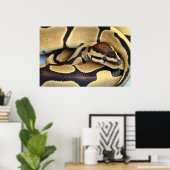 Python Gelb und Schwarzes Ball 3 Poster (Heimbüro)