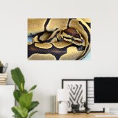 Python Gelb und Schwarzes Ball 3 Poster (Heimbüro)