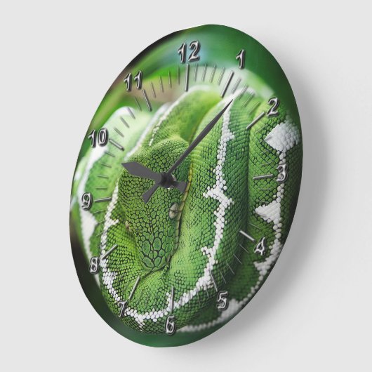 Python Große Wanduhr (Winkel)
