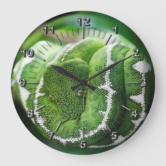 Python Große Wanduhr (Vorderseite)