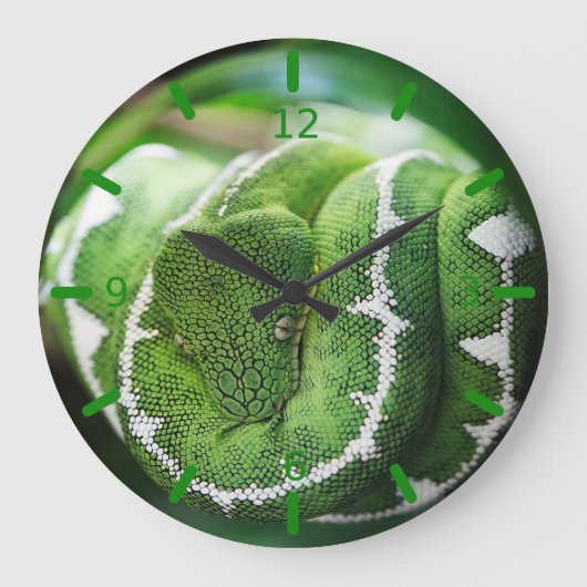 Python Große Wanduhr (Vorderseite)