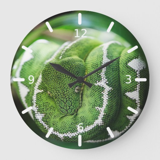 Python Große Wanduhr (Vorderseite)