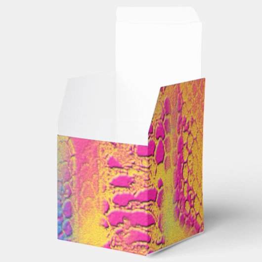 PYTHON - Modernes dekoratives Fraktal - Geschenkschachtel (Geöffnet)