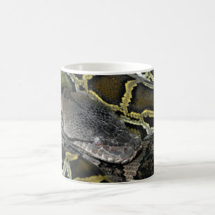 Python molurus bivittatus kaffeetasse