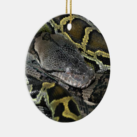 Python molurus bivittatus keramik ornament (Rechts)