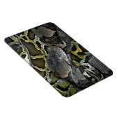 Python molurus bivittatus magnet (Rechte Seite)