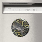 Python molurus bivittatus magnet (In Situ (Geschirrspüler))