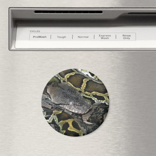 Python molurus bivittatus magnet (In Situ (Geschirrspüler))