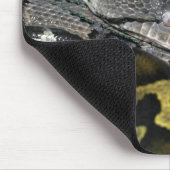 Python molurus bivittatus mousepad (Ecke)