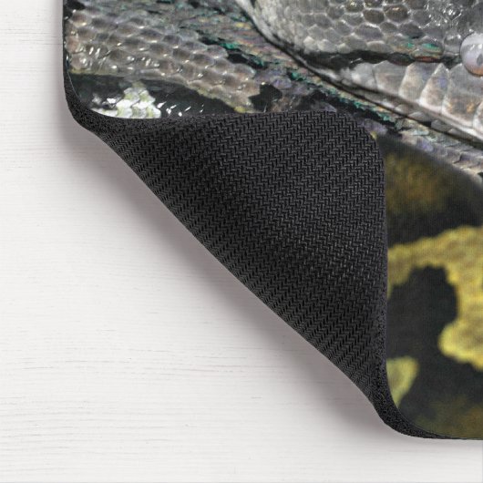 Python molurus bivittatus mousepad (Ecke)