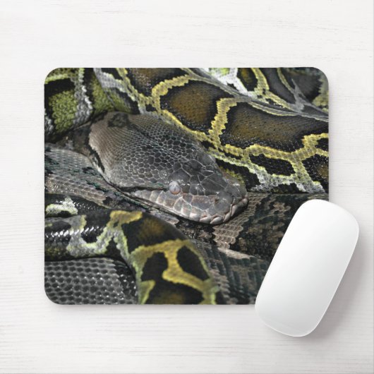 Python molurus bivittatus mousepad (Mit Mouse)