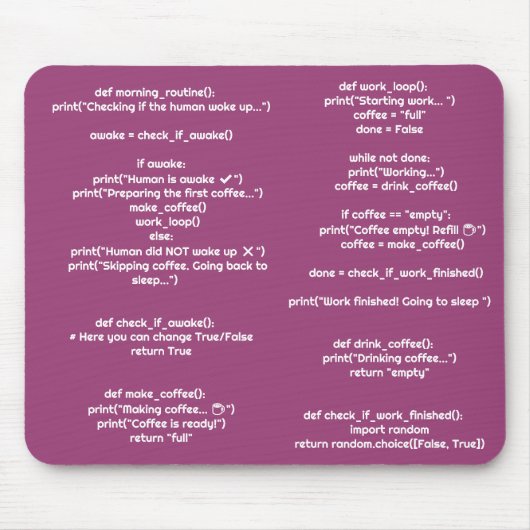 Python morning_routine() Mauspad – Geschenk für Co (Vorne)