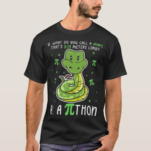 Python Pi Symbol Math Lehrer Pi Day T-Shirt (Vorderseite)