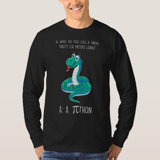 Python Pithon Pi Symbol Funny Mathematiker Pi Day T-Shirt (Vorderseite)
