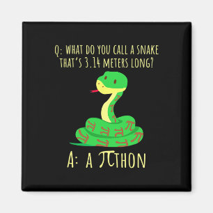 Python Pithon Pi Symbol Lustiger Mathe-Lehrer Pi T Magnet