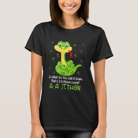 Python Pithon Pi-Symbol Lustiger Mathelehrer Pi-Ta T-Shirt (Vorderseite)