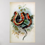 PYTHON! POSTER (Vorne)