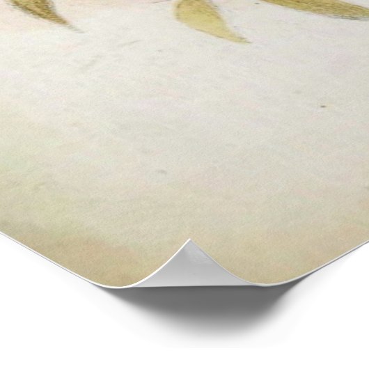 PYTHON! POSTER (Ecke)