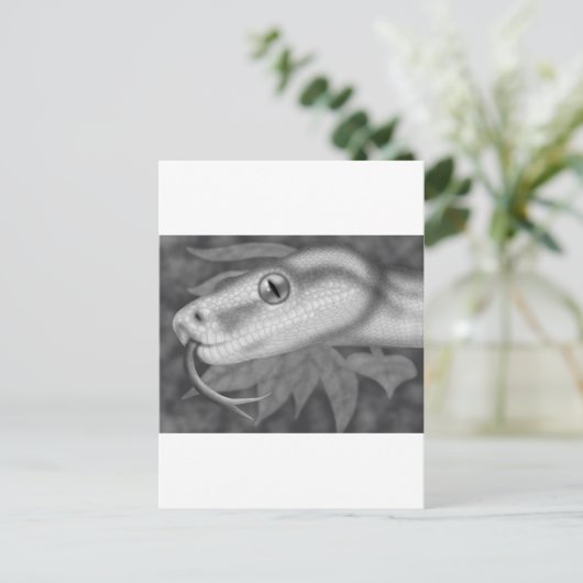 Python Postkarte (Stehend Vorderseite)