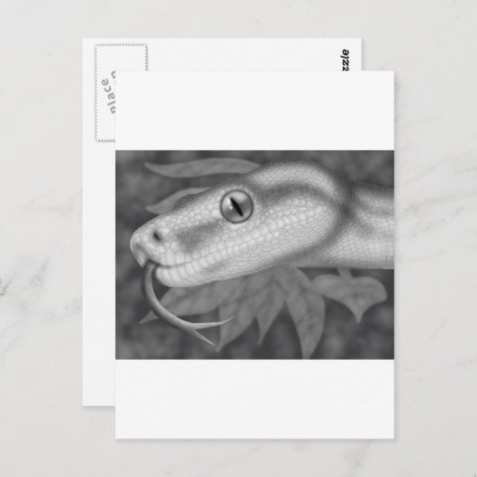 Python Postkarte (Vorne/Hinten)