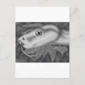 Python Postkarte (Vorderseite)