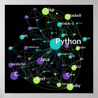 Python Programmiersprache Einfluss Netzwerk Poster