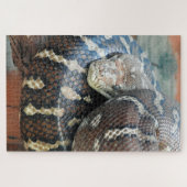 Python Puzzle (Horizontal)