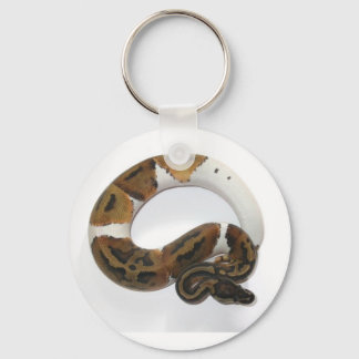 Python-Schlüsselanhänger Schlüsselanhänger
