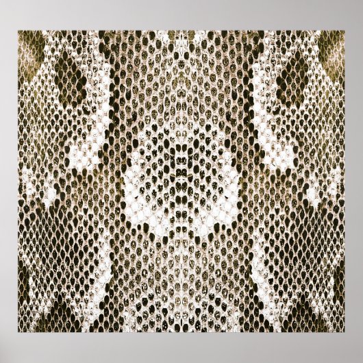 Python Skin: Tiermuster-Design Poster (Vorne)