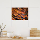 Python Snake Poster (Küche)