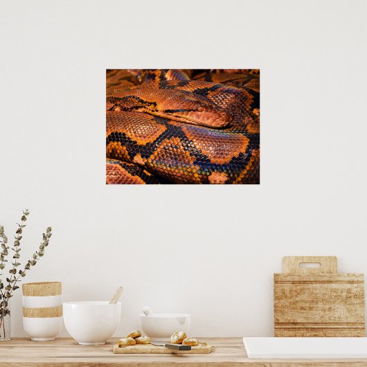 Python Snake Poster (Küche)