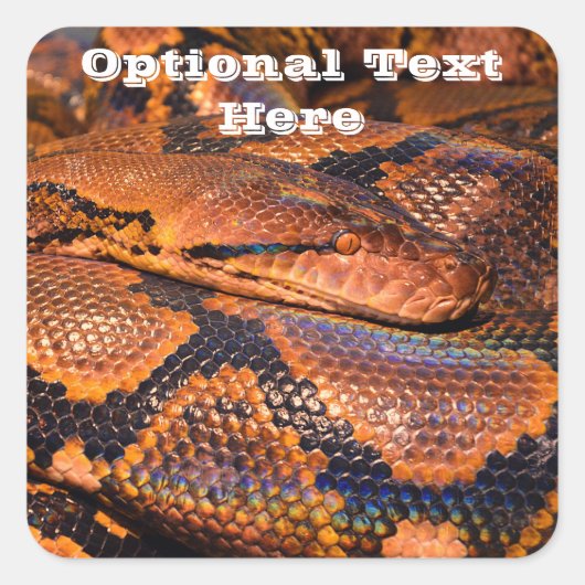 Python Snake Quadratischer Aufkleber (Vorderseite)