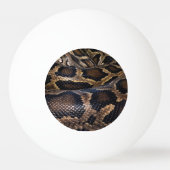 Python Tischtennisball (Vorderseite)