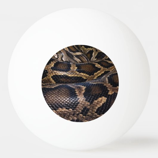 Python Tischtennisball (Vorderseite)