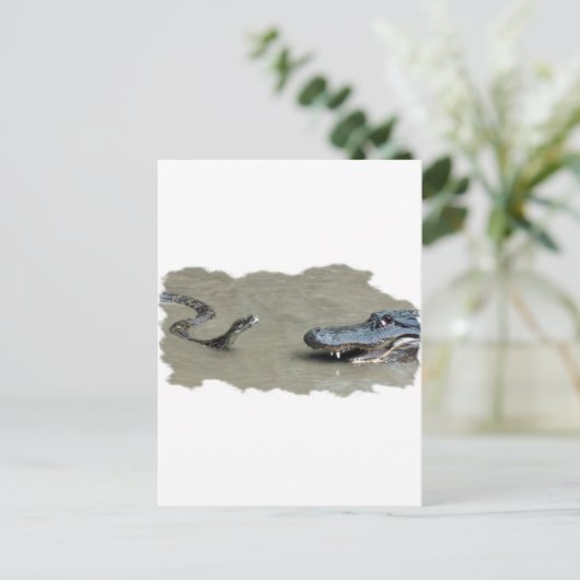 Python vs Alligator Postkarte (Stehend Vorderseite)