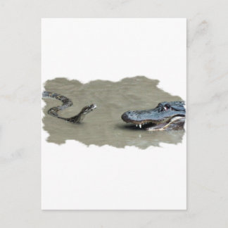 Python vs Alligator Postkarte