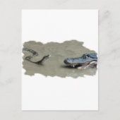 Python vs Alligator Postkarte (Vorderseite)