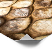 Pythonhaut, Haut, Schlange, Retikulat Poster (Ecke)