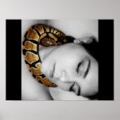 Python's Lullaby Poster (Vorne)