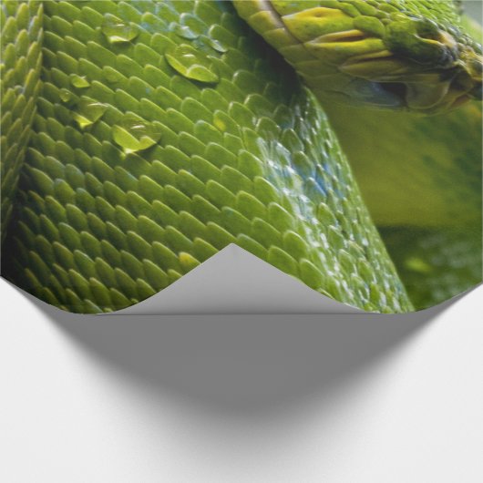 Pythonschlange Geschenkpapier (Ecke)