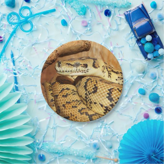 Pythonschlange Pappteller (Party)