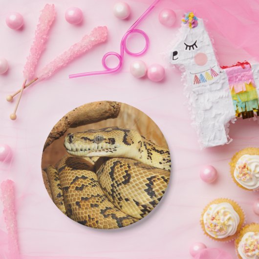 Pythonschlange Pappteller (Party)