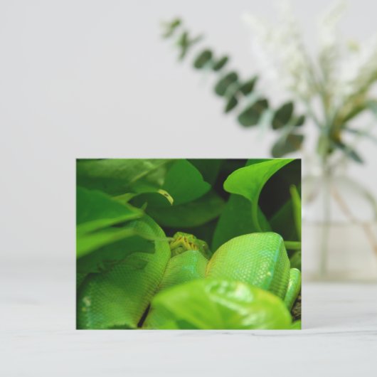 Pythonschlange Postkarte (Stehend Vorderseite)