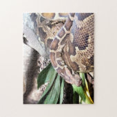 Pythonschlange Puzzle (Vertikal)