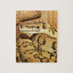 Pythonschlange Puzzle